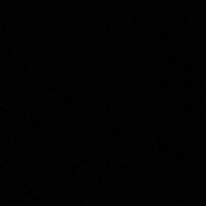 Meet your Posher, Tyson